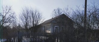 Дом в деревне