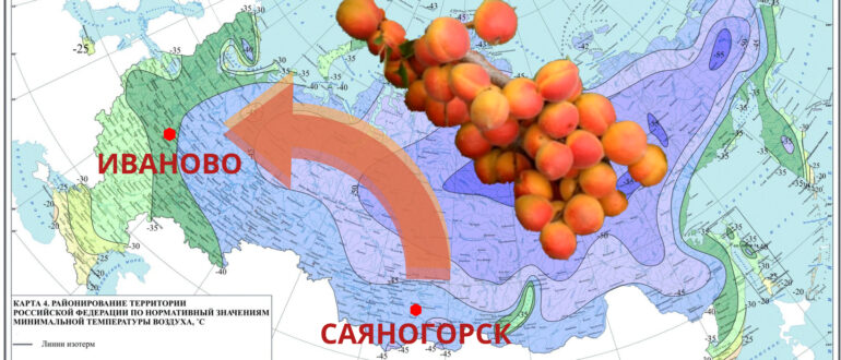 Валерий Константинович Железов северное садоводство